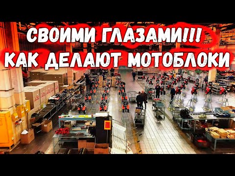 Video: Motoblokit 