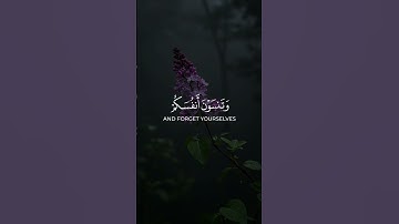 أتأمرون الناس بالبر وتنسون أنفسكم؟ | سورة البقرة 44 📖 #قران_كريم #توبة #تلاوة_خاشعة #المصحف #دعاء