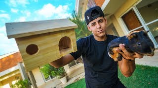 NOVA CASA PARA MEUS MASCOTES !