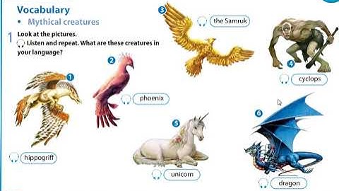 Excel 5 Module 5 Creativity p 57 ex 3