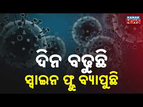 ଦିନ ବଢୁଛି ସ୍ୱାଇନ ଫ୍ଲୁ ବ୍ୟାପୁଛି | H1N1 Swine Flu Alert | IMA Issues Public Health Advisory in India