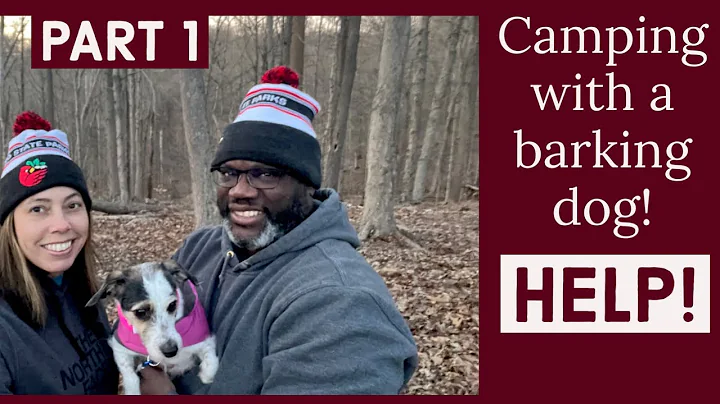 Winter Camping at Salt Fork | Camp Cooking | Sunra...