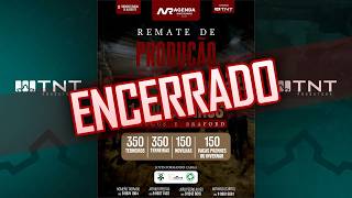 23/04 - Remate da Quinta Agenda Remates | 19h