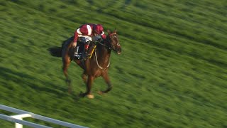 I LIKE TO MOVE IT defies top-weight to win the 2022 Greatwood Hurdle for the Twiston-Davies team screenshot 4