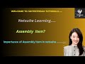 NetSuite item master: assembly Items with Real Examples#netsuite #oracleerp #erp #netsuiteerp