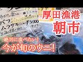 【北海道】厚田港朝市🐟採れたてウニを買うなら何時頃?値段と気になるお味は?!