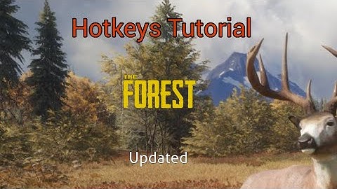 How To Use Hotkeys in The Forest