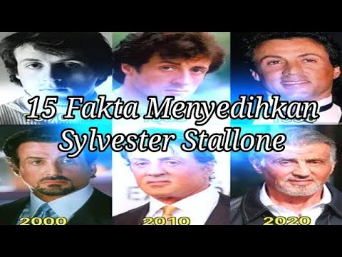 Video: Di mana sylvester stallone tinggal?