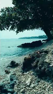 Status WA  ipank .cinta apakah itu cinta💞❤️