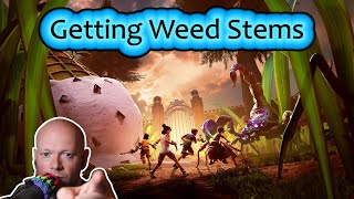 Grounded 2 ● How To Find Weed Stems For Your Hatchery