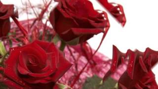 Francis Gojalet It Be Me