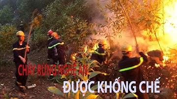 Cháy rừng ở Nghệ An được khống chế sau 2 ngày nỗ lực| VTC14