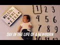 Day in the life of a newborn (1 month old)