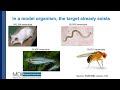 Introduction - Transcriptome Assembly Refinement and Applications (1 of 5)