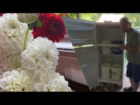 How To Make Your Own DIY Cooler to Save More Flowers!