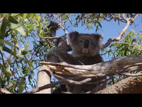 Port Lincoln Tours by Untamed Escapes – Tourism Australia