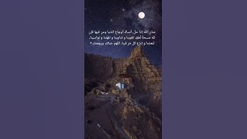 تلاوة هادئة خاشعة لراحة قلبك 🤍🌾✨