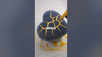 Wat is het grappigste dat jij ooit in een verzorgingspakket hebt ontvangen?