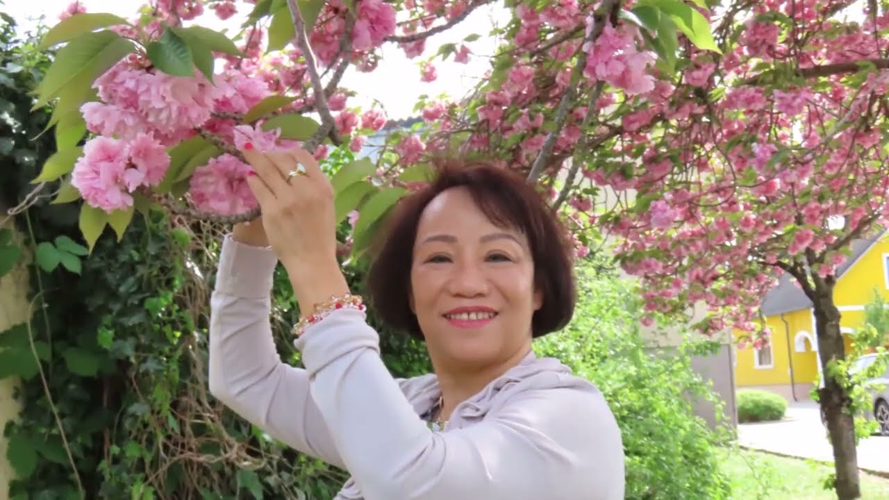 Em Còn Nhớ Mùa Xuân  - Ngô Thụy Miên  cover Thuý Nga