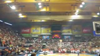 Dvorana Aleksandar Nikolić Pred Meč Zvezda - Panatinaikos