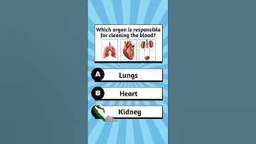 Bible Quiz ✝️🌟-Can you get 7/7? #quizchallenge #quizgame