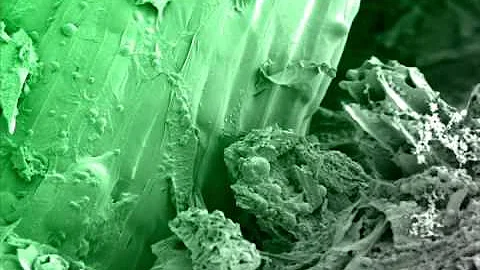 Zooming In: a closer look at biochar
