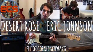 Desert Rose - Eric Johnson - Guitar Cover