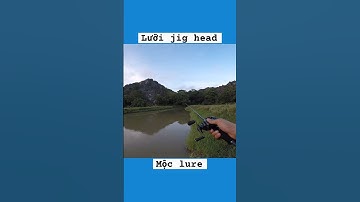 Câu cá lóc bằng mồi mềm và lưỡi jig head|Câu cá lóc. #caucaloc #caulure #cauca #moclure #fishing