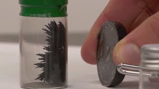 Local "life-changing innovation" screenshot 3