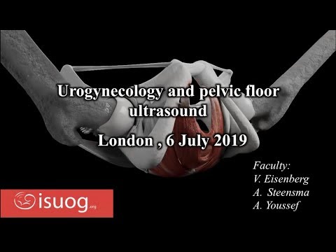 Urogynecology and pelvic floor ultrasound: register now