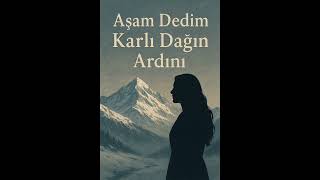 Aşam Dedim Kârlı Dağın Ardını. Anadolu Rock Müzik