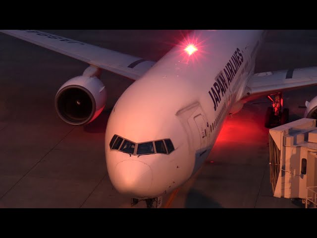 航空機・ヘリコプター JAL B777-300 JA8945 航空機・ヘリコプター JAL B777-300 JA8945 機体記号 : JA8945