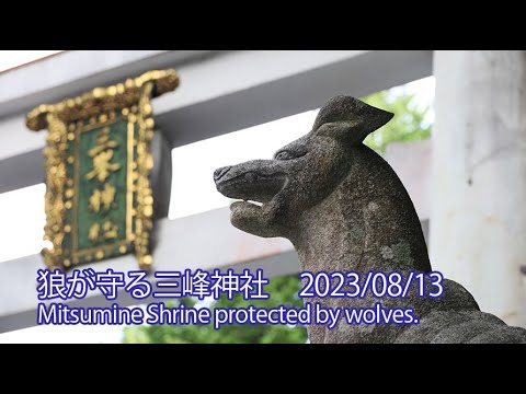 エントランスの守護象、ついに旅立ちのとき。期間限定SALE！ トヨタ ノア ヴォクシー 90系 サンシェード 車 サイド 運転席