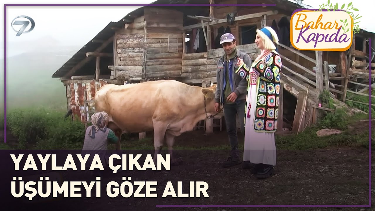 Artvin’in Yüksek Yaylalarında Günlük Hayat | Bahar Kapıda