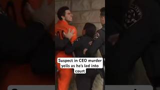 UnitedHealthcare CEO murder suspect yells as he’s led in court