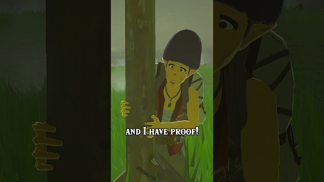 How has nobody noticed this in TOTK?