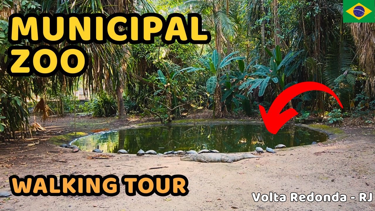 ᴮᴿ MUNICIPAL ZOO Walking Tour | 4K Walkthrough - ZOOVR