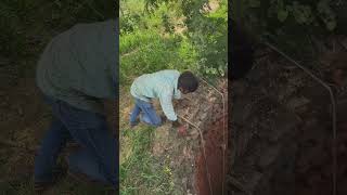 35 फीट गहरे कुएँ में 3 दिन से फँसी बिल्ली का रेस्क्यू! | Cat Rescue Mission | YouTube Shorts