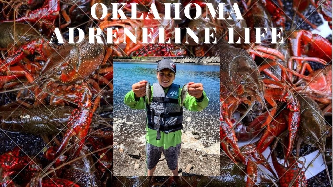Catch Crawfish for bait in Oklahoma River - YouTube