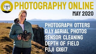 Photographing otters, DEPTH OF FIELD explained, how to clean your sensor, Fuji GX-617 in action.