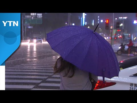 [날씨] 오늘 남부 강한 비바람...내일까지 남해안 150mm↑ / YTN