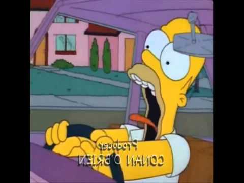 Ver video de El Rap De Homero