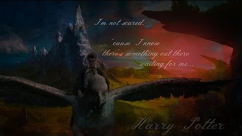 Better Sorry Than Safe - Harry Potter Tribute Video