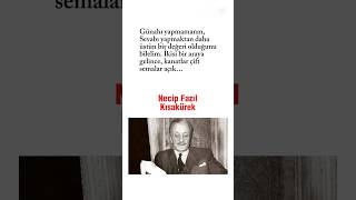 Çöle Inen Nur Kitabından Alıntı. Necip Fazıl Kısakürek Ilkısakürek
