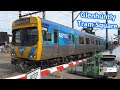 Trains & Trams at the Glenhuntly Tram Square - Melbourne Transport