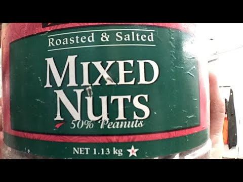 Things are crazy nuts here... April 6, 2018 buckshot