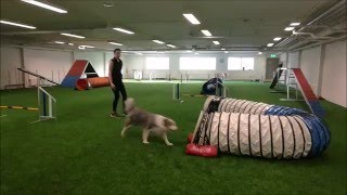 23.2.16 bolt agility treenit