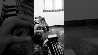 Rara venu on veena