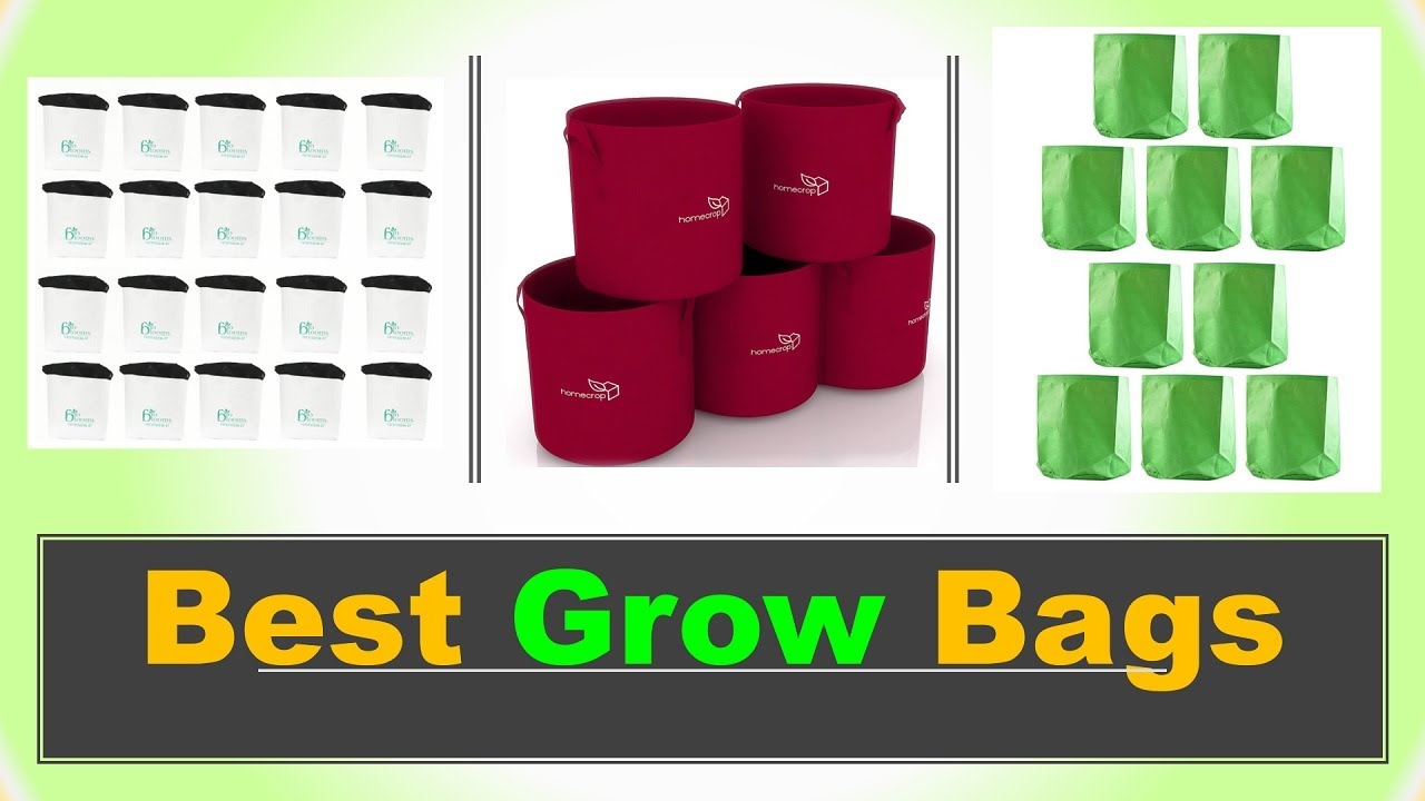 Top 6 Best Grow Bags in India 2021 VEGETABLE GROW BAGS PLANTER BAG