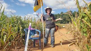 Orientation Video for the Amazing Maize Maze